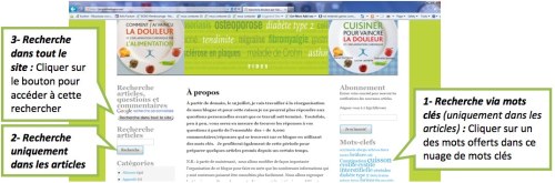 Trois types de recherche dans le site